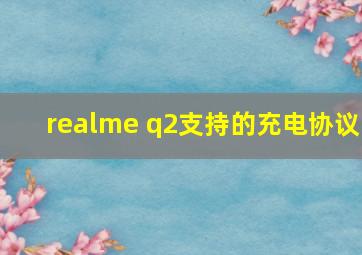 realme q2支持的充电协议